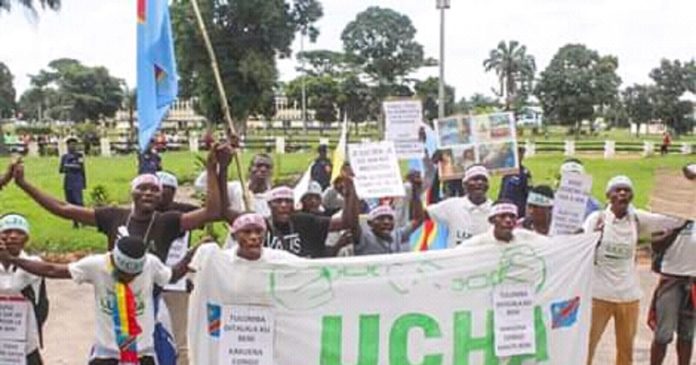 huit militants de La Lucha enfin libérés à Beni