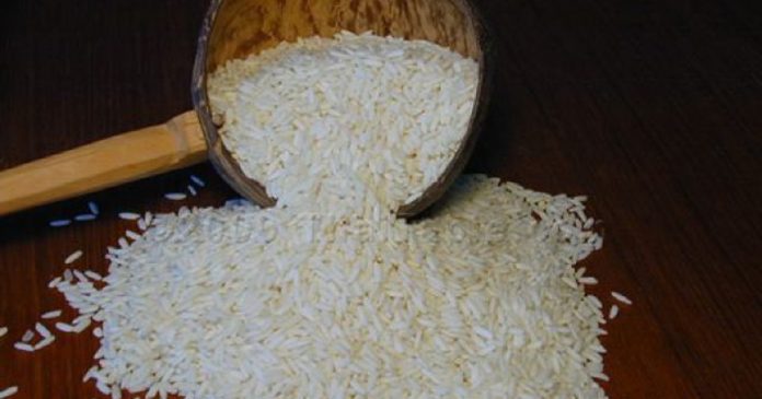 Choléra , un vaccin à base du riz développé par les chercheurs japonais