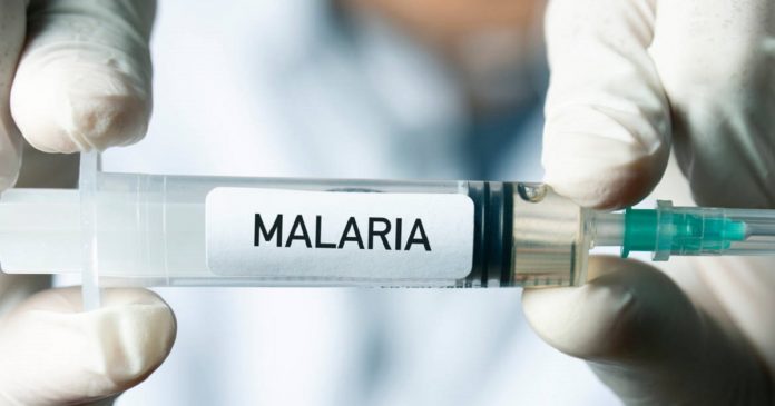 Vaccin contre le paludisme : l’OMS recommande son déploiement en Afrique