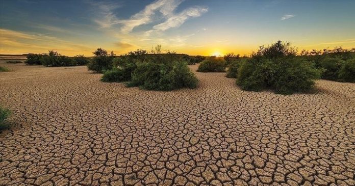 COP26 l'Afrique appelle à la prise de responsabilités face au changement climatique