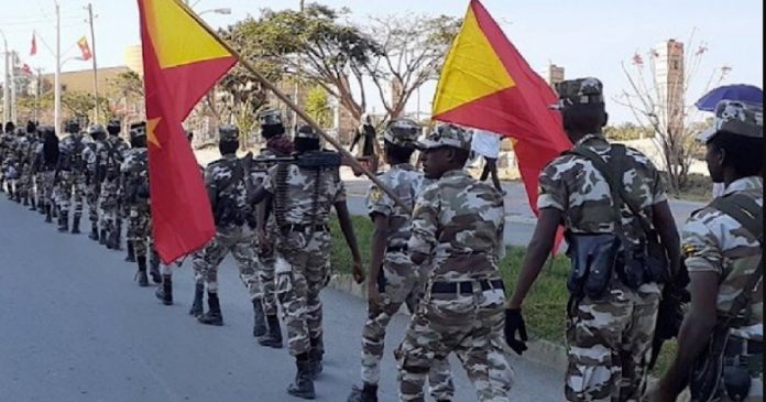 Ethiopie : après le repli, les rebelles tigréens appellent à un accord de paix