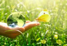 Actions pour le climat : les candidatures au TEC 2024 sont ouvertes Actions pour le climat - les candidatures au TEC 2024 sont ouvertes