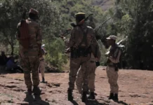 « Plus de 56.000 balles » pour les Fano : l’Éthiopie accuse l’Érythrée d’armer la rébellion « Plus de 56.000 balles » pour les Fano : l’Éthiopie accuse l’Érythrée d’armer la rébellion