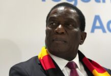 Prolongement du mandat du président : le gouvernement du Zimbabwe donne son feu vert prolongement du mandat du président Emmerson Mnangagwa