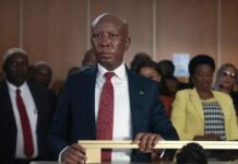 Afrique du Sud : l’opposant Julius Malema condamné à 5 ans de prison ferme Afrique du Sud : l'opposant Julius Malema condamné à 5 ans de prison ferme