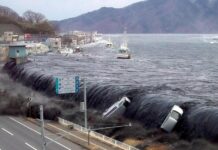 « Évacuez immédiatement »: l’alerte Tsunami déclenchée au Japon après un puissant séisme « Évacuez immédiatement »: l'alerte Tsunami lancée au Japon après un puissant séisme