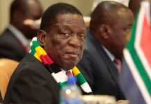 Prolongation du mandat présidentiel : après l’Assemblée nationale, le Sénat zimbabwéen valide le texte Réforme constitutionnelle-après l'Assemblée nationale, le Sénat zimbabwéen valide le texte