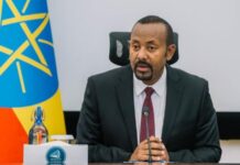 Éthiopie : vers la fusion des fonctions de Premier ministre et de président Éthiopie : vers le renforcement des pouvoirs d'Abiy Ahmed