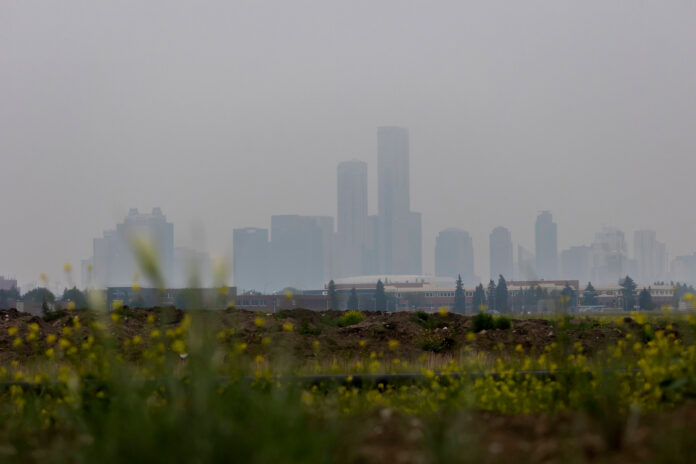 Climat : quinze jeunes attaquent l’État pour inaction climatique